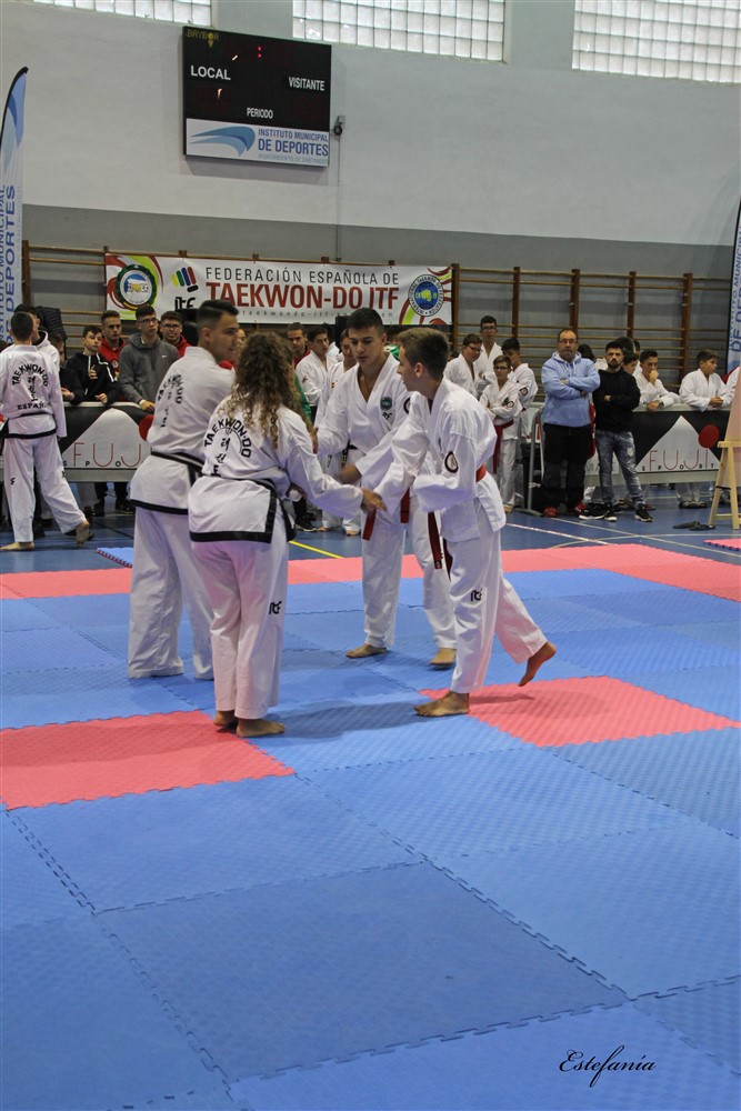 Copa Seul 2018 (359).jpg